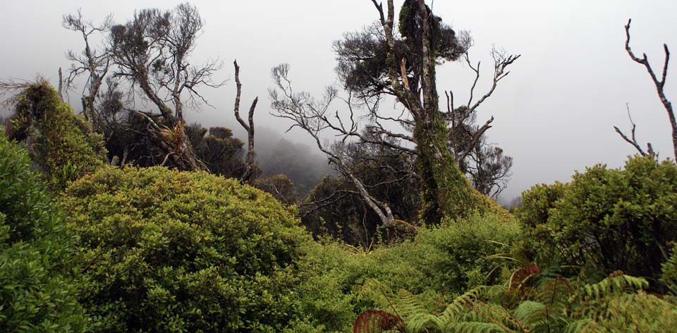 martinsbayhut-backview