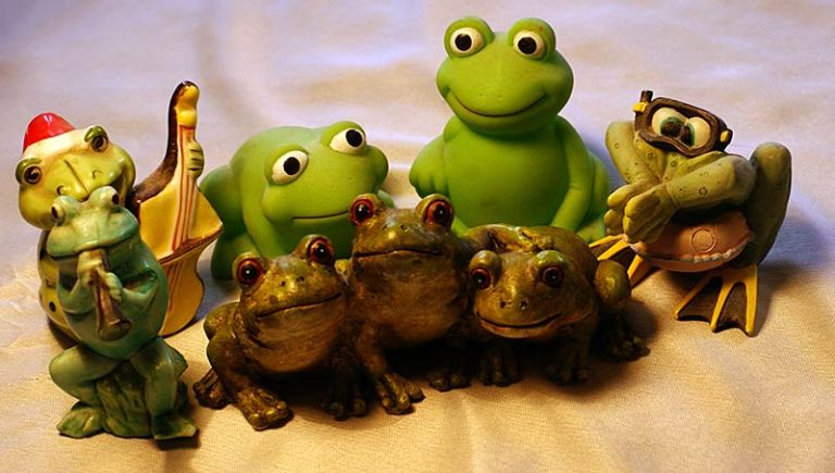 Green Frog Photography for Fun