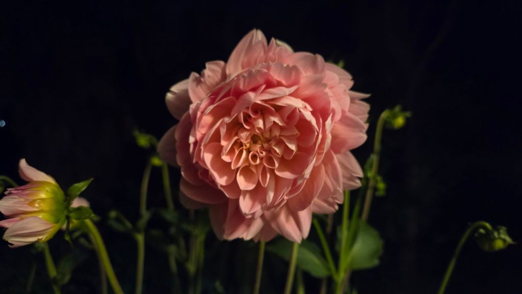 20251215_2206083745953604730576667