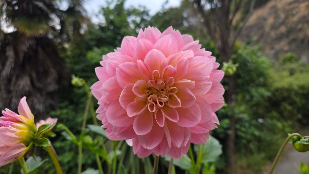 20251216_0936001337426211666584313