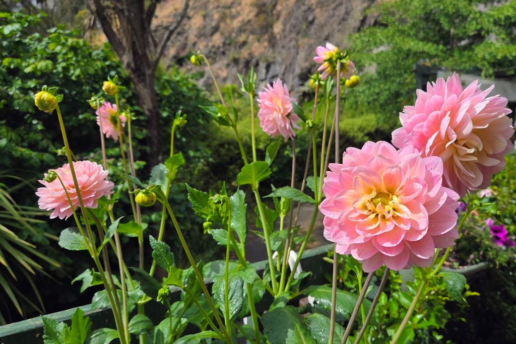 20251219_161250~27113685684172525552.